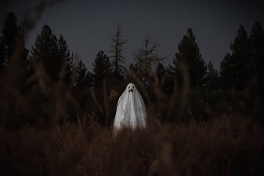 Kuru, çimenli, tarlada ürkütücü bir hayalet resmi.