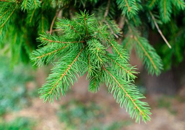 BÖLÜMÜZ İNSANLIK BİLGİLERİNİN BÖLÜMÜ BİR YOLLAR