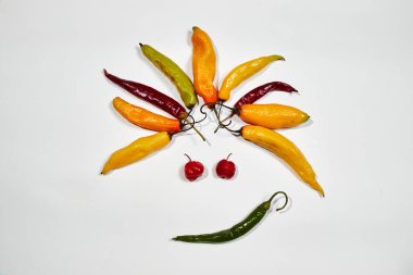 Sebzeli biber, beyaz arka planda kırmızı biber.