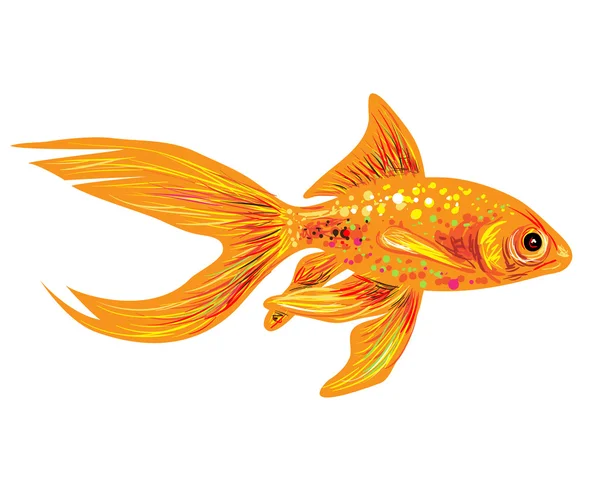 Ikan emas abstrak - Stok Vektor