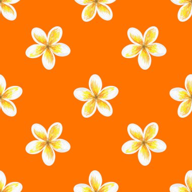 Frangipani çiçek seamless modeli