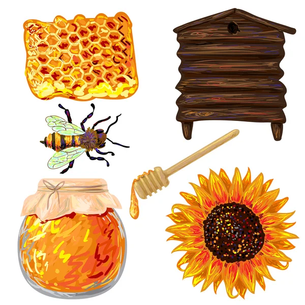 Tournesols et nids d'abeilles articles — Image vectorielle