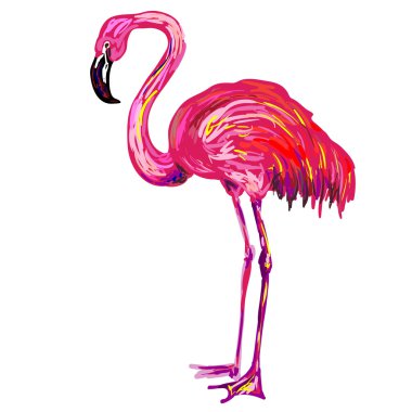 Egzotik pembe flamingo kuş 