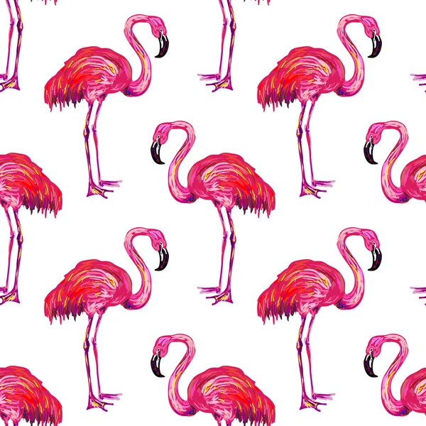 Exotic pink flamingo birds — Stock Vector