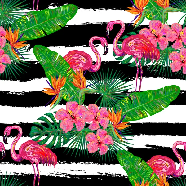Exotische roze flamingo vogels — Stockvector