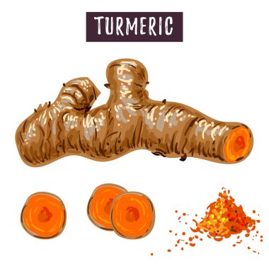 Taze zerdeçal illüstrasyon