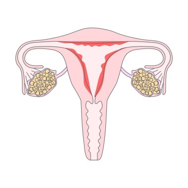 Benim bedenim benim seçimim. Rahim, rahim ana kadın üreme organı. Kız gibi dövüş. Feminizm kavramı. Kadın sembolü. Amblem, tişört, çıkartma, poster, baskı, yama için tasarım