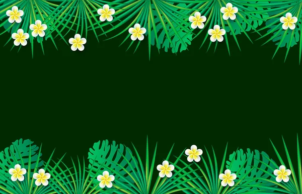 ヤシの葉 モンスターの葉 熱帯のネックレスレイ花 熱帯のフレームと緑の背景 緑の葉と花のある夏の背景 — ストックベクタ