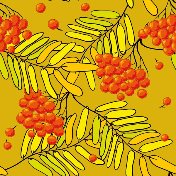 Modèle avec rowan et feuilles — Image vectorielle