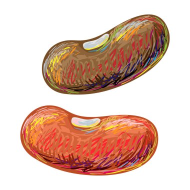 Elle çizilmiş Dekanlar