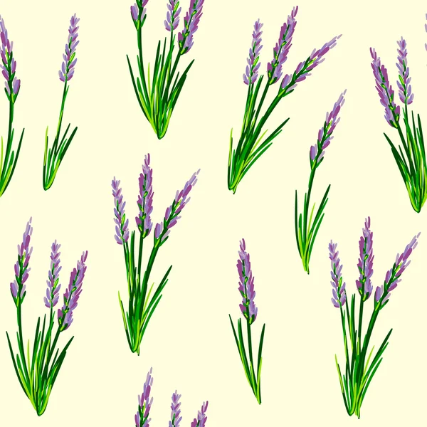 Seamless Pattern with Lavender flowers — Stock Vector