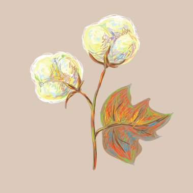 Cotton branch with cotton bolls clipart