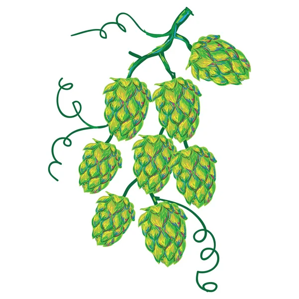 绿色的啤酒花插图 — 图库矢量图片