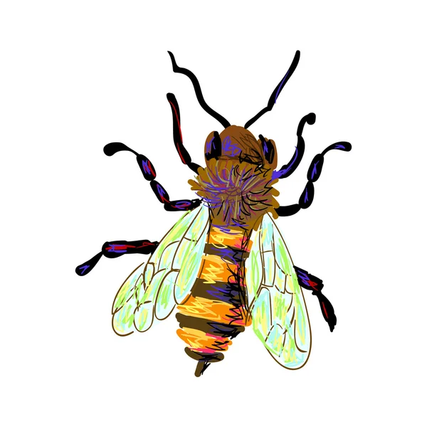 Abeja plana sobre blanco — Vector de stock