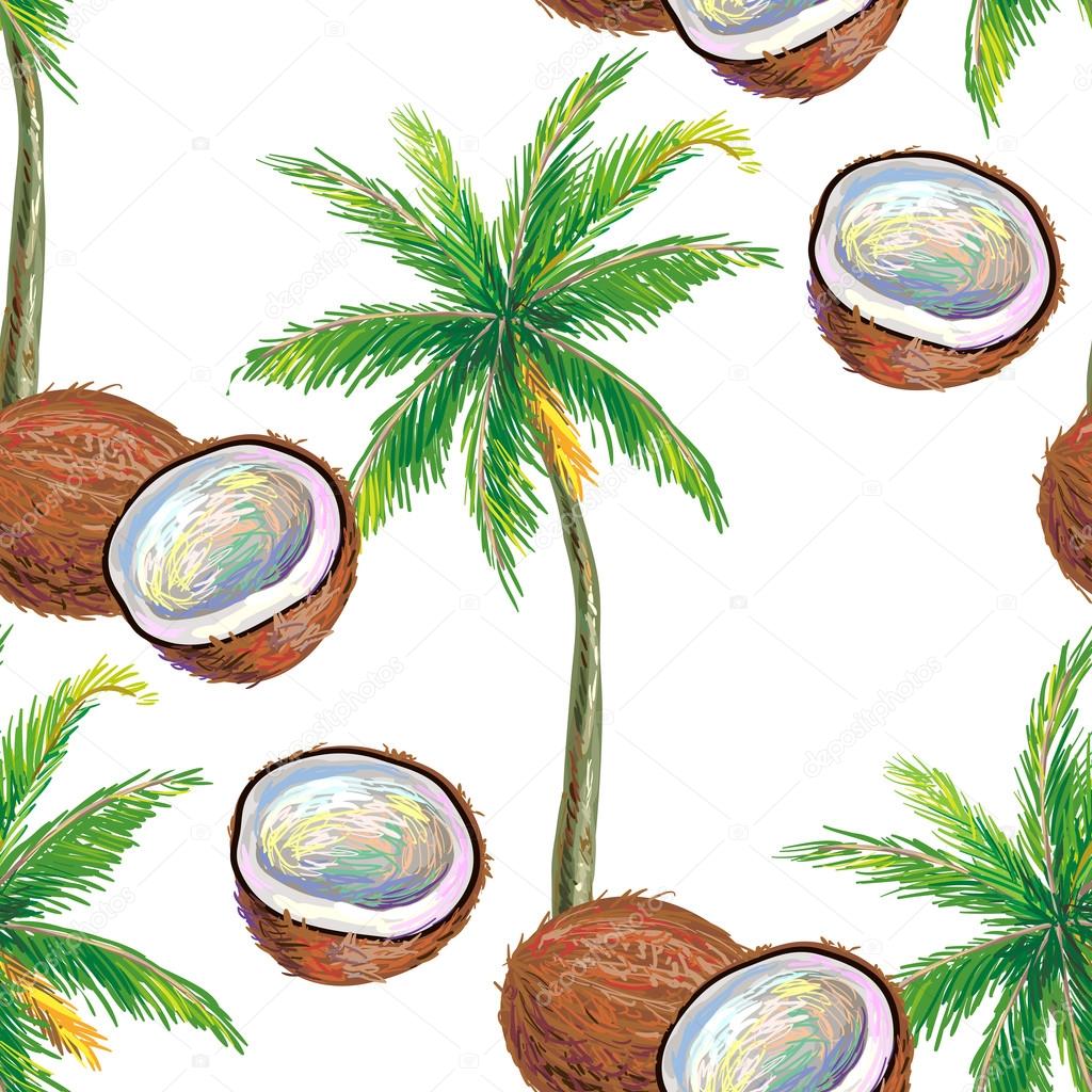 Coconut and palm tree