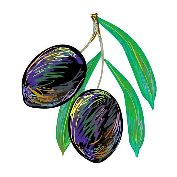 草绘的橄榄树枝 — 图库矢量图片