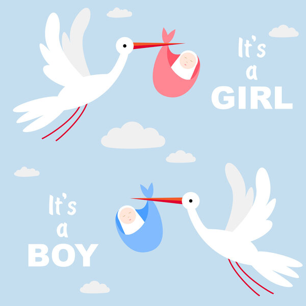 Stork carrying cute baby