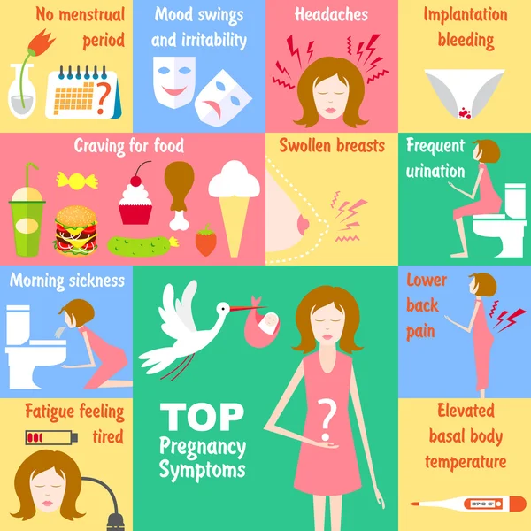 Top Pregnancy Symptoms — Stock Illustration Top Pregnancy Symptoms Royalty Free Stock Illustrations