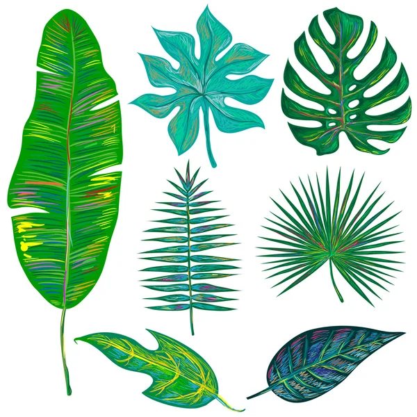 Exotic tropical leaves collectio — Stock Vector