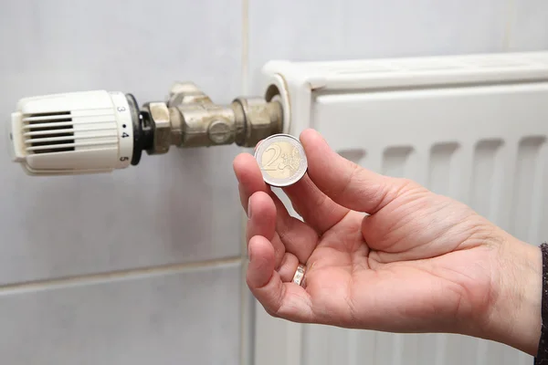 pil ve bozuk para tutan el Isıtma