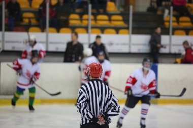 Buz hokeyi hakem arkadan görünüş