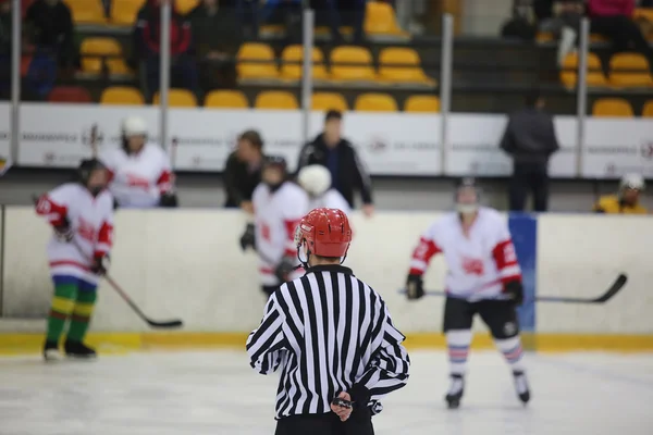 Vista trasera del árbitro de hockey sobre hielo —  Fotos de Stock