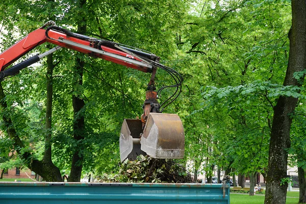 Pulizia foglie nel parco — Foto Stock