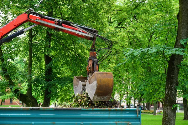 Schoonmaken van de bladeren in het park — Stockfoto