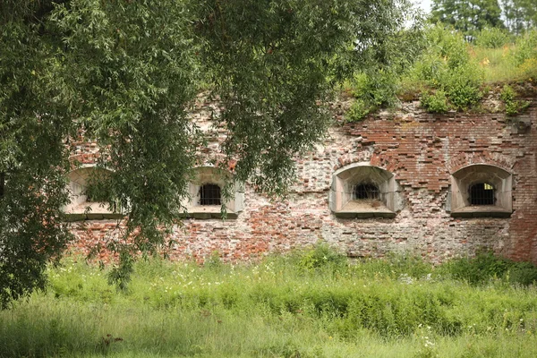 Edificios del siglo XIX de brivk rojo — Foto de Stock