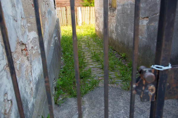 Kilit ile metal çit — Stok fotoğraf