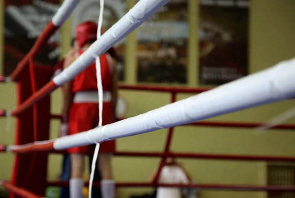 A bokszoló — Stock Fotó