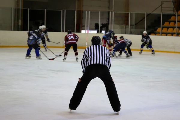 Árbitro de hockey sobre hielo —  Fotos de Stock