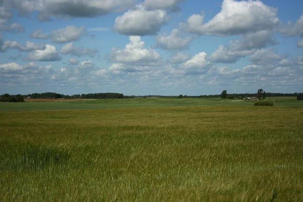 Byn landskap — Stockfoto