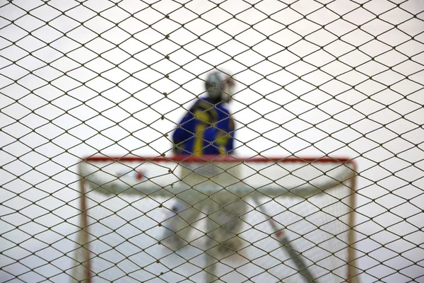 Ishockey målvakt nära grindarna på isen — Stockfoto