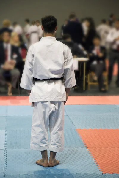 Karate ember vár decesion a bírák — Stock Fotó