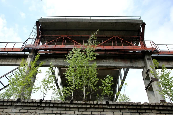 Objeto industrial abandonado com árvore em crescimento — Fotografia de Stock