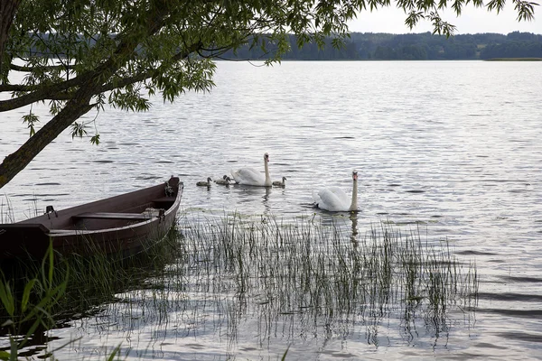 Barco de madeira perto da costa do lago — Fotografia de Stock