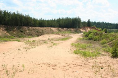 ormandaki kumlu manzara