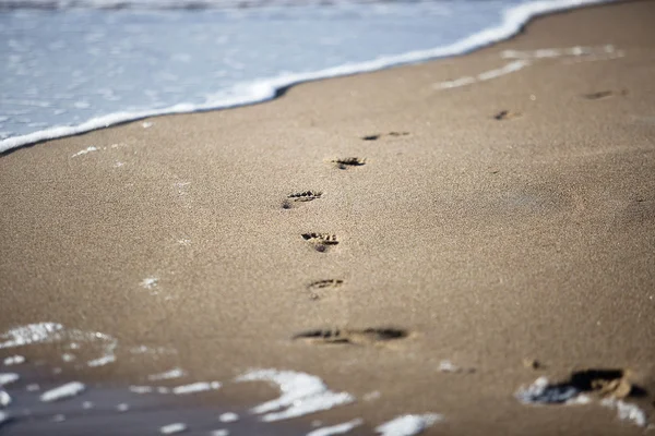 Footprints in the sand — Stock Photo, Image