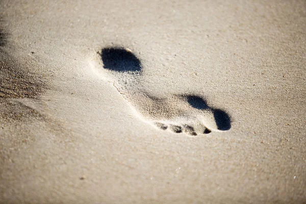 Footprints in the sand — Stock Photo, Image