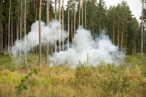 Training explosions at the military exercises — Stock fotografie