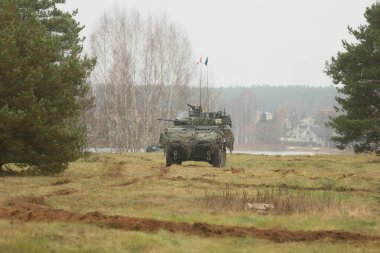 DAUGAVPILS, LATVIA - 10 Kasım 2025: Askeri Kararlı Savaşçı. Askeri tatbikat sırasında zırhlı araç sahaya çıkıyor.