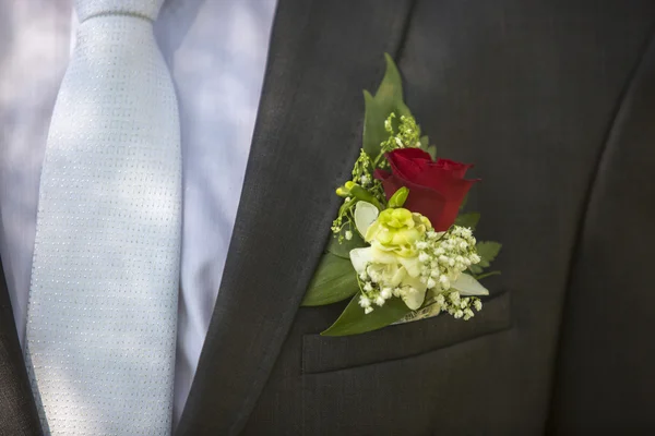 Buttonhole — Stock Photo, Image