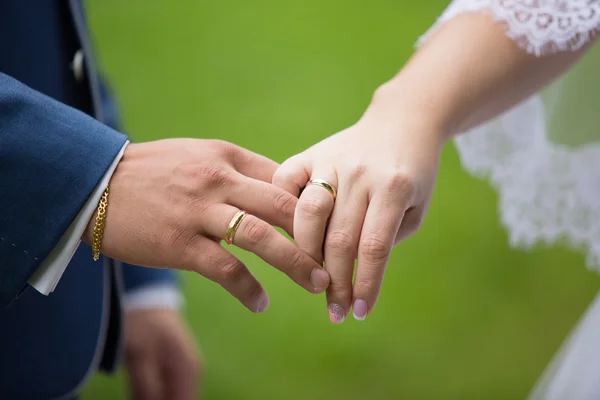 Just married holding hands — Stock Photo, Image