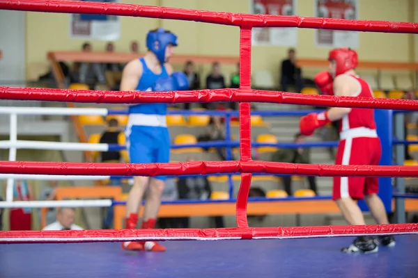 Dois boxers no ringue — Fotografia de Stock