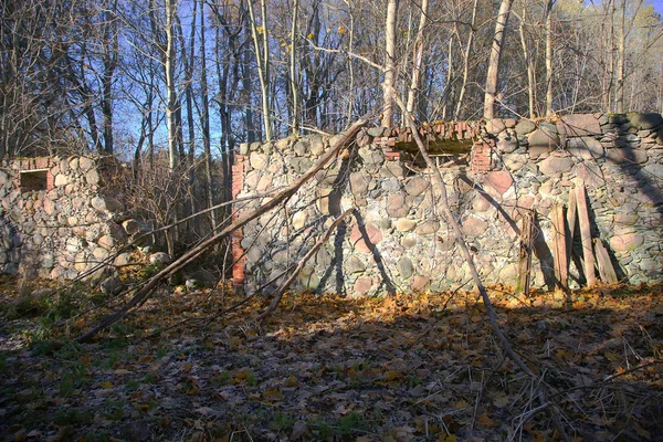 Alte Steinmauer — Stockfoto