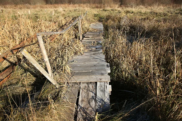 Puente de madera viejo —  Fotos de Stock