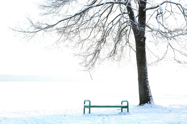 Panca di legno sotto l'albero il parco durante la giornata invernale — Foto Stock