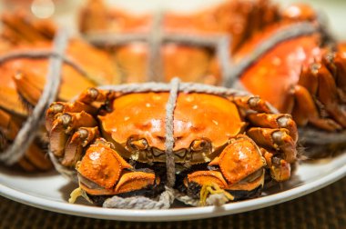 Lezzetli ızgara yengeç.