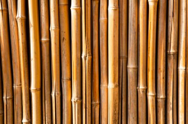 Bambu hasırı arka plan, doğal doku 